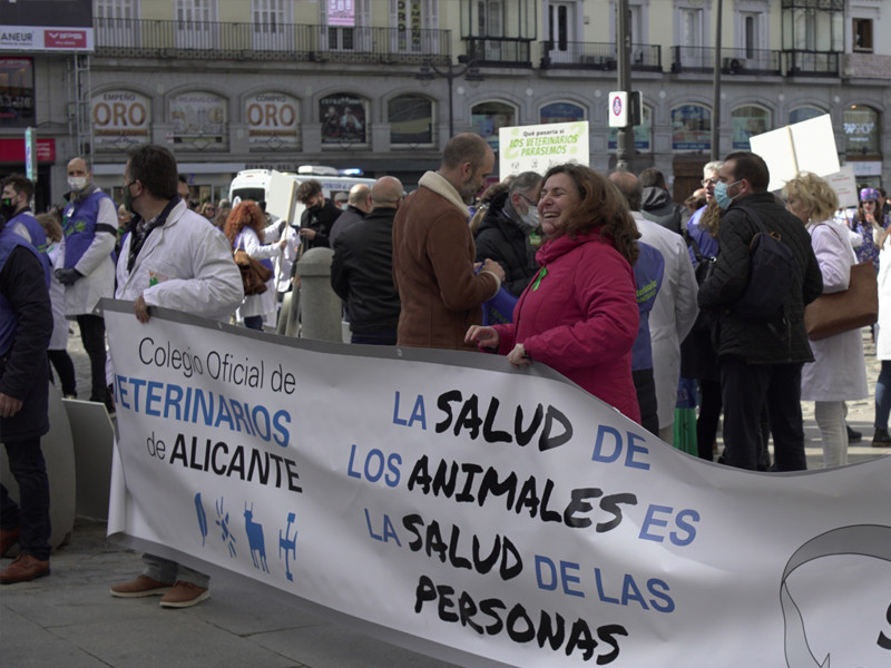 Pancarta del Colegio Veterinario de Alicante