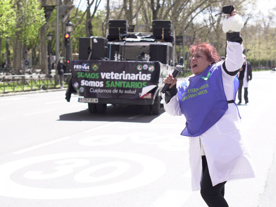 Una de las organizadoras animando a los veterinarios en Sanidad