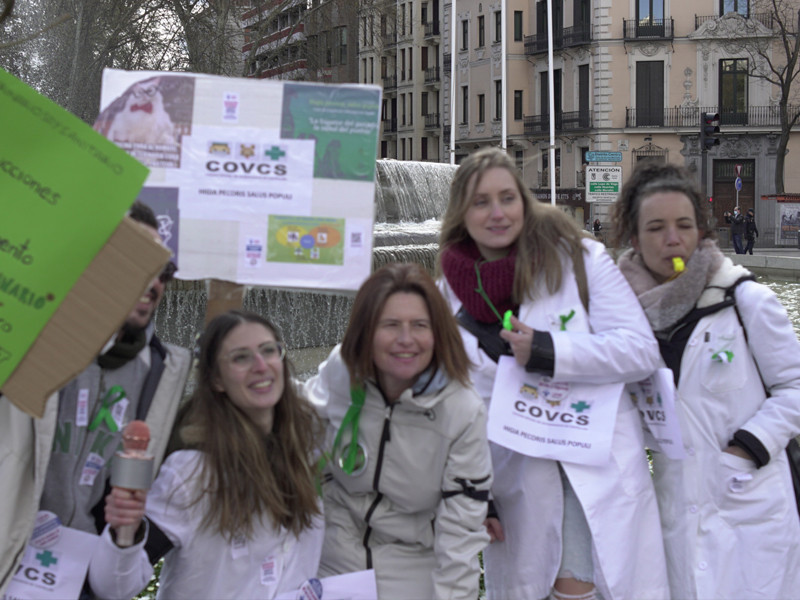 Veterinarias del Colegio de Castellón