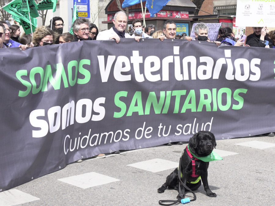 Cabecera manifestación