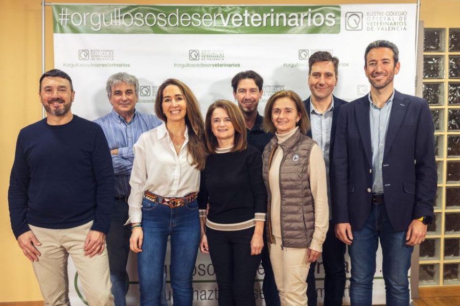 Junta directiva colegio valencia inmaculada ibor