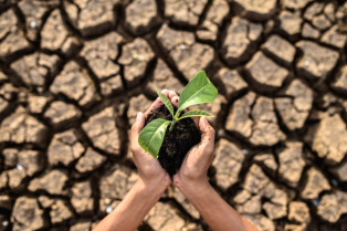 El compromiso de los veterinarios para luchar contra el cambio climático