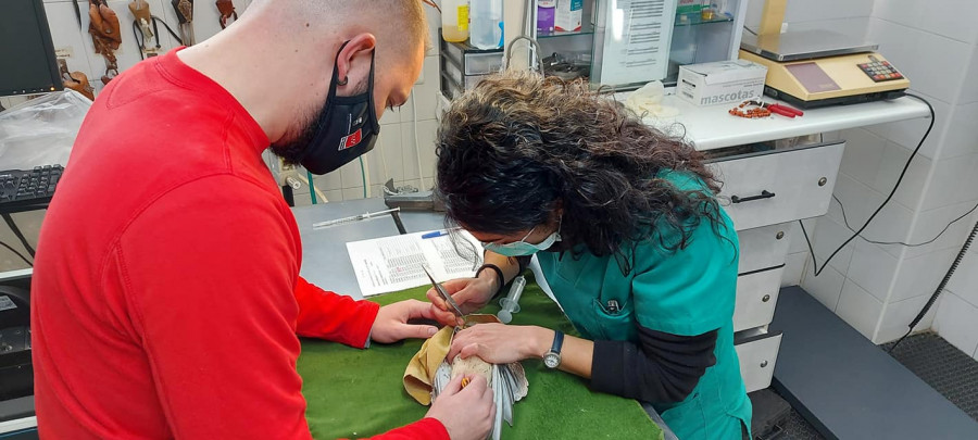 Centro recuperación fauna los hornos