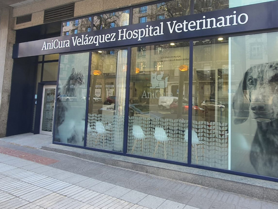 Anicura velazquez hospital veterinario