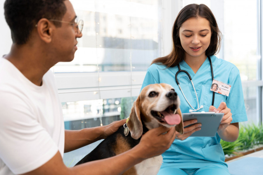Clinica veterinaria cliente veterinario