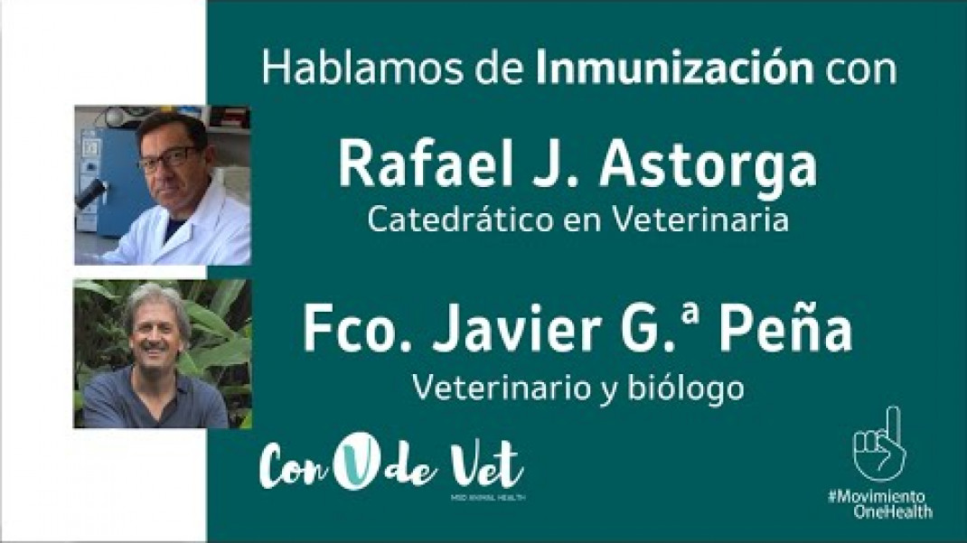 Hablamos de inmunización con Rafael J. Astorga y Fco. Javier García Peña | Con V de Vet