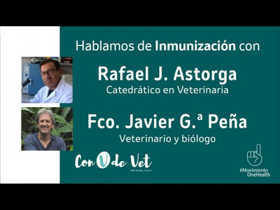 Hablamos de inmunización con Rafael J. Astorga y Fco. Javier García Peña | Con V de Vet
