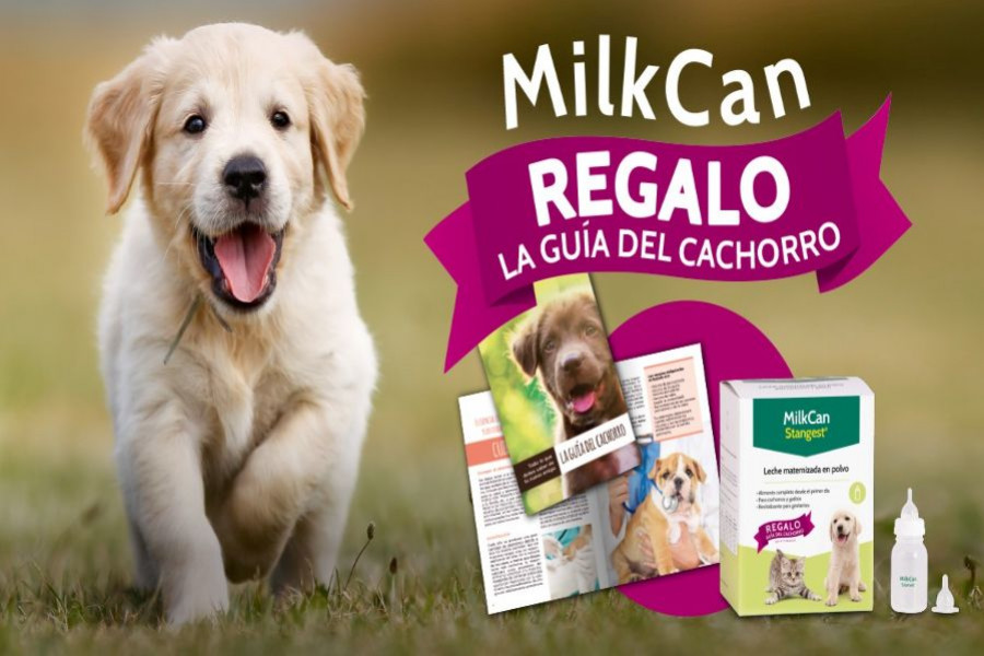 milkcan