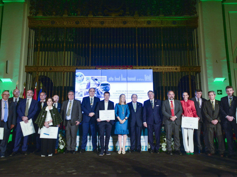 Entrega premios castilla la mancha
