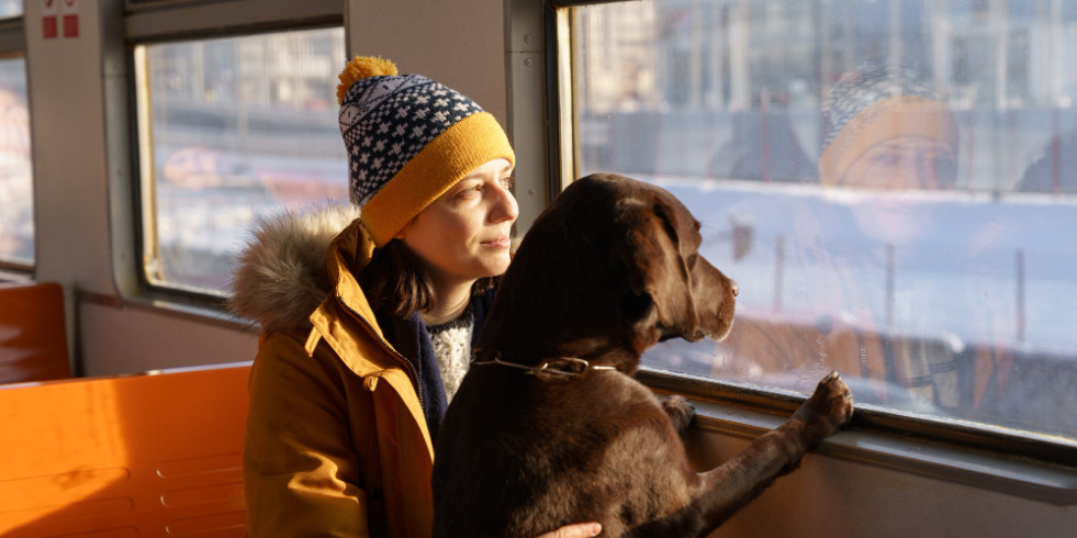 Solicitan que los perros de más de 10 Kg puedan viajar en Renfe Media y Larga distancia