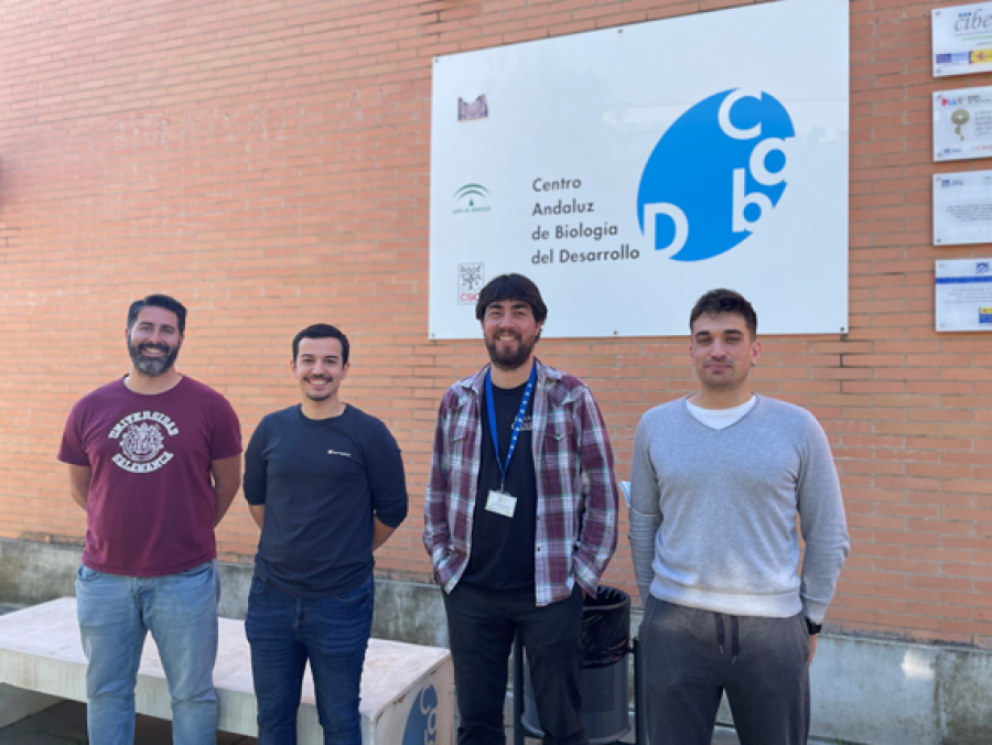 Investigadores optimizan un nuevo sistema de edición genética en animales