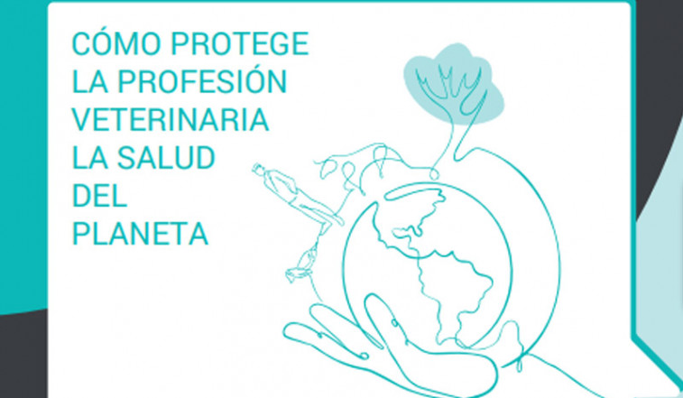 Zaragoza acogerá la jornada '¿Cómo protege la profesión veterinaria la salud del planeta?'
