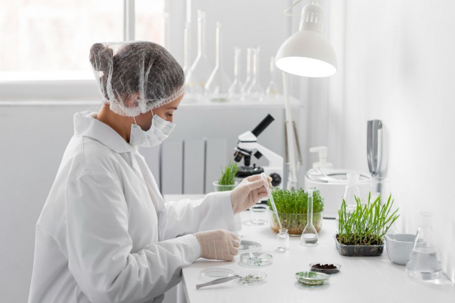 laboratorio