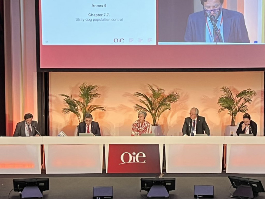 Asamblea general oie