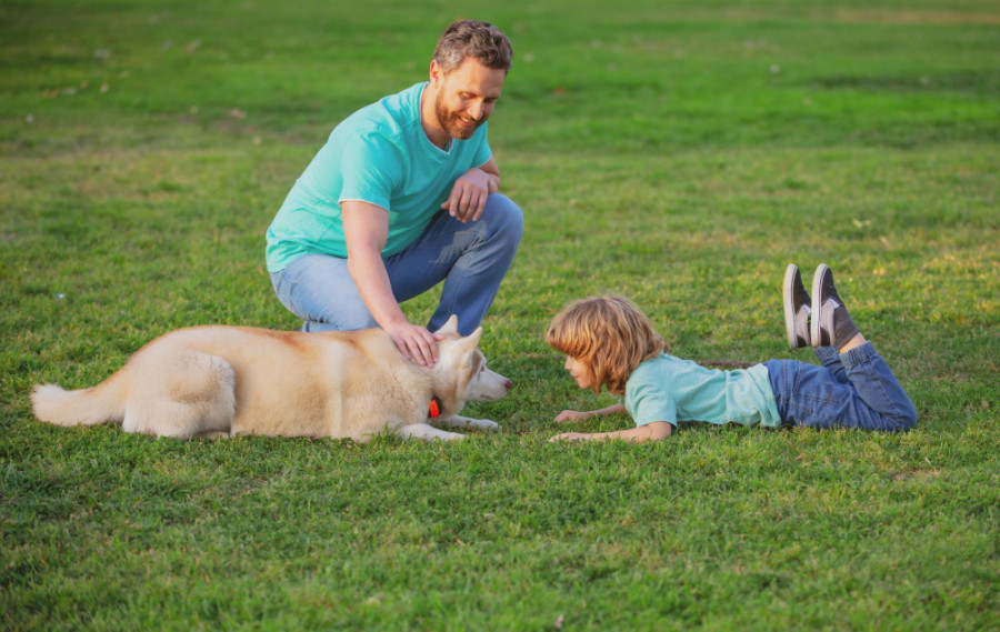 Parque perro niño