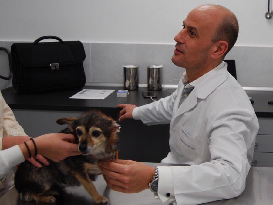 Carlos vich dermatología