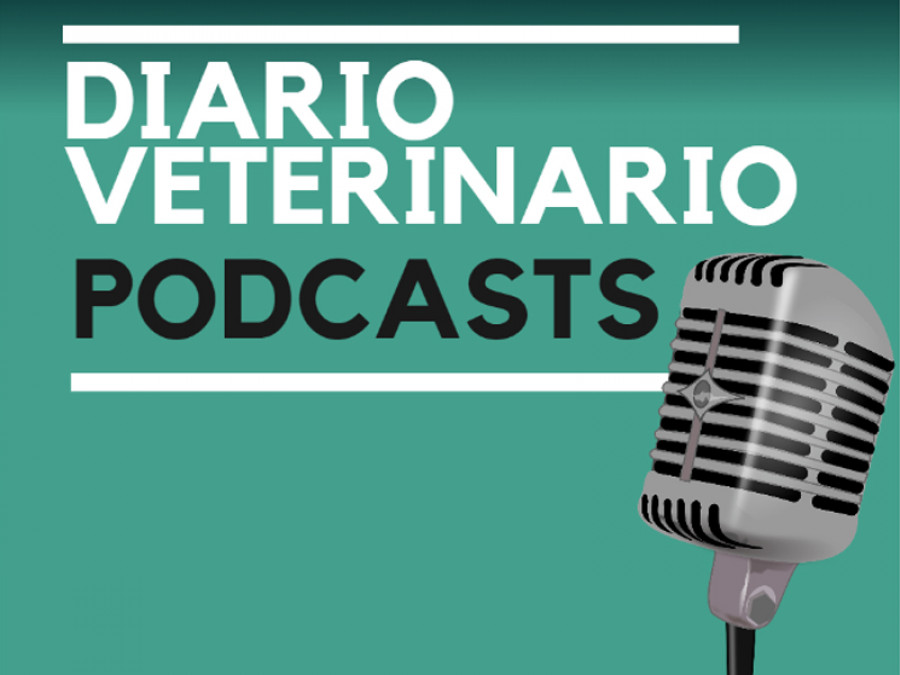 Diario veterinario podcasts