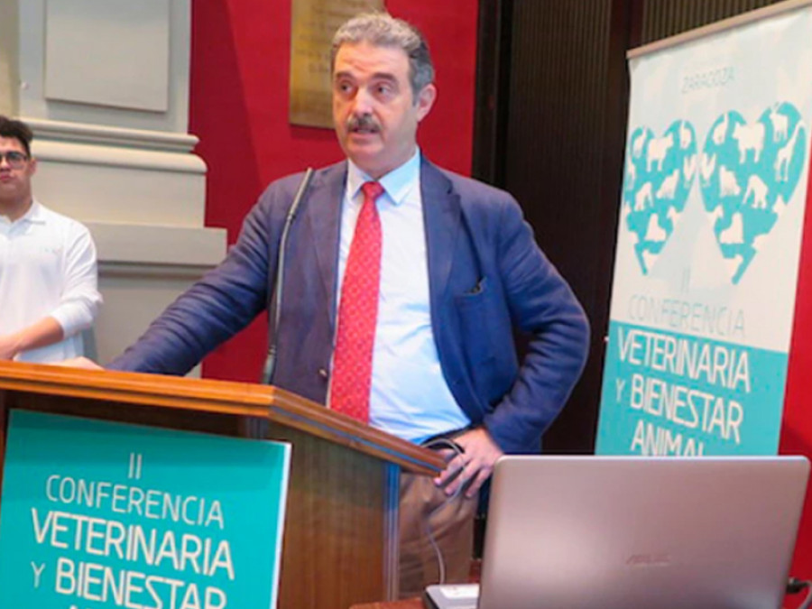Juan carlos ortiz avem