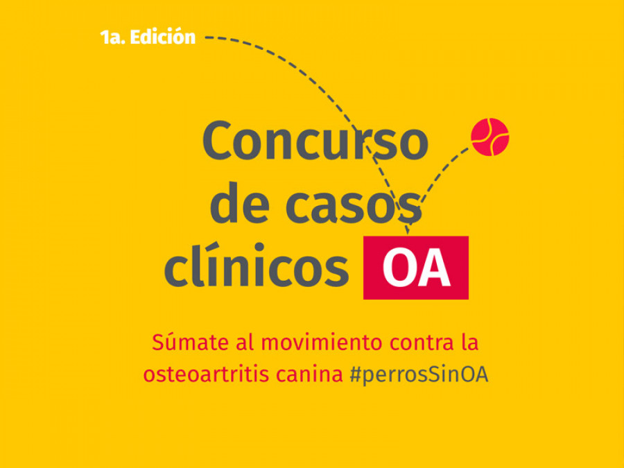 Concurso oa elanco