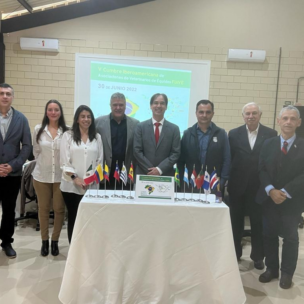 Cumbre de las asociaciones de veterinarios equinos de Iberoamérica en Brasil