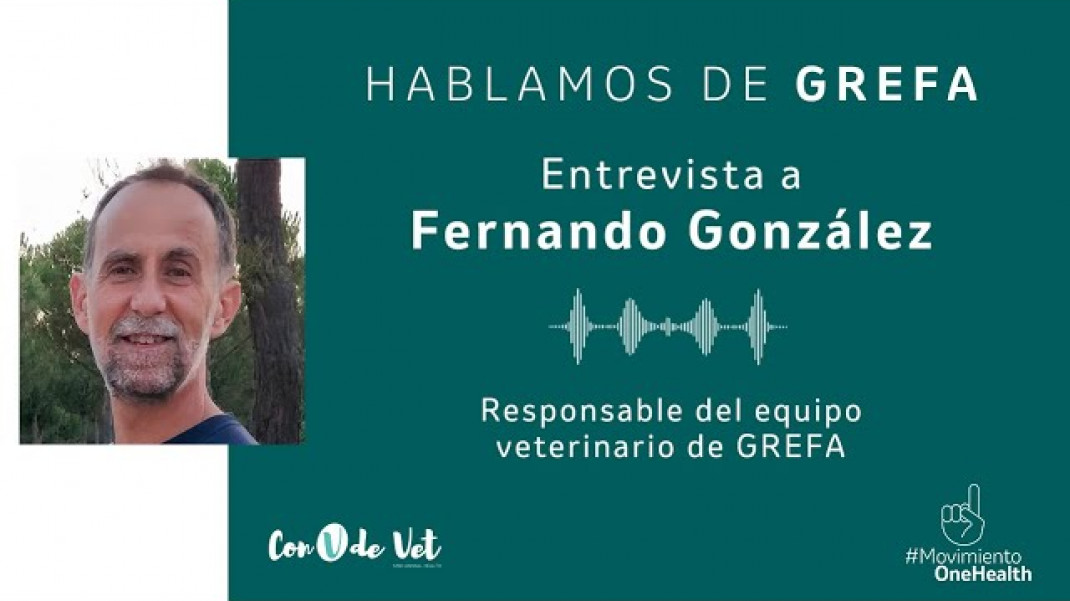 Hablamos de fauna silvestre y One Health con Fernando González | Con V de Vet