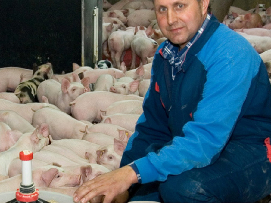 Jaume bernis