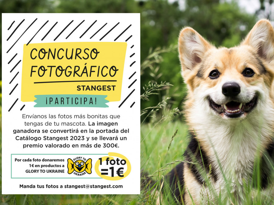 Concurso stangest