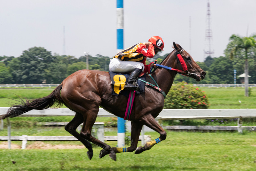 Caballo carreras