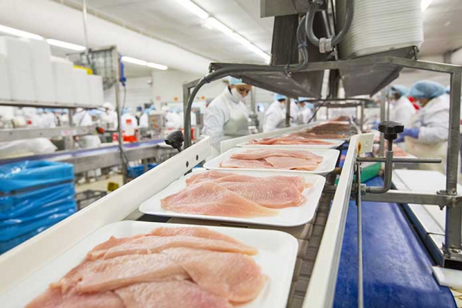 Pollo seguridad alimentaria