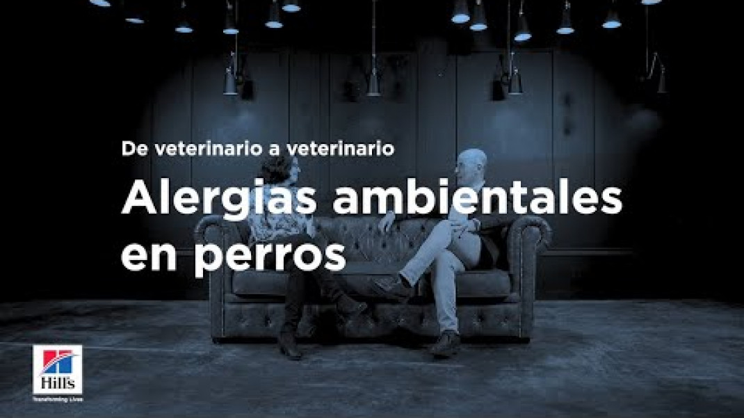 De veterinario a veterinario: entrevista a Carlos Vich