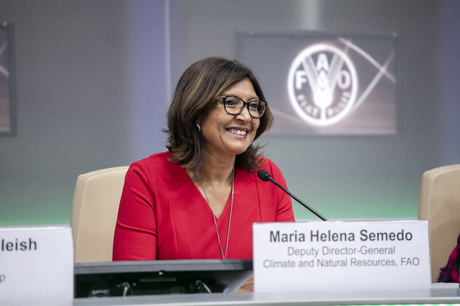 Maria helena semedo fao