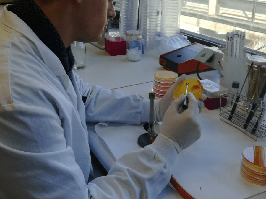 Laboratorio investigación