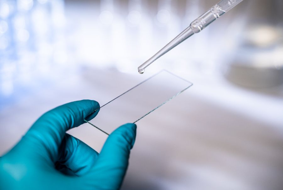laboratorio