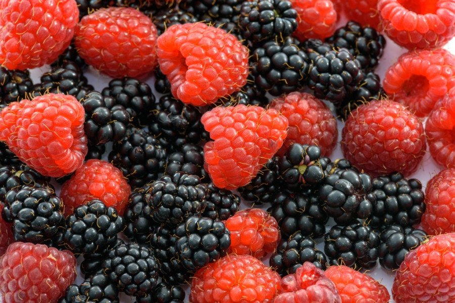 Frutas del bosque