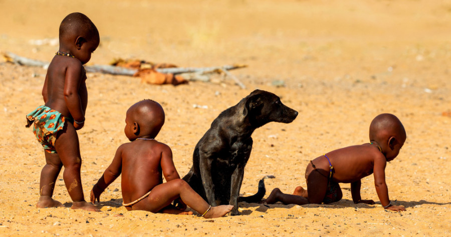 Perros niños áfrica