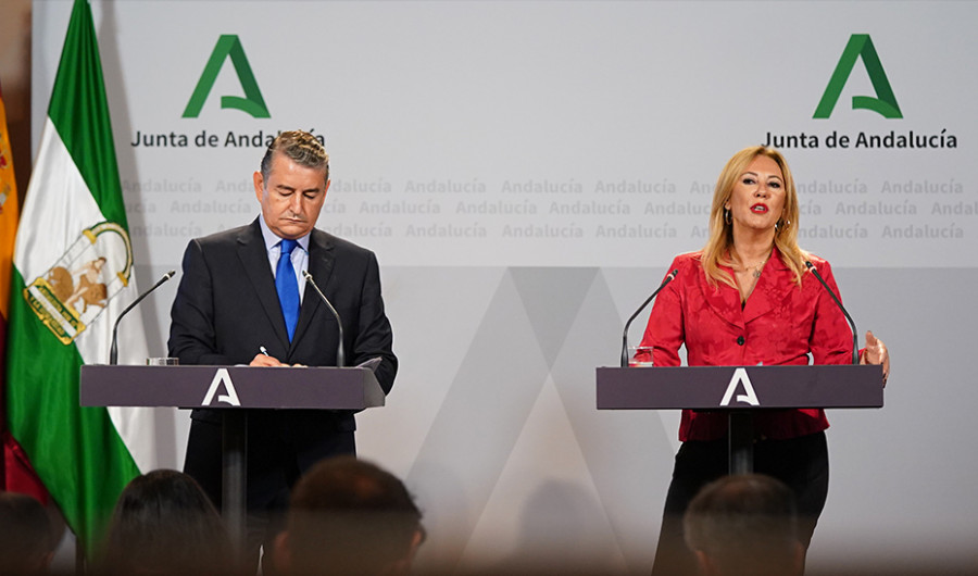 Junta andalucía consejo