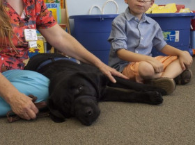 Los perros de terapia no siempre son la respuesta para ayudar a niños con autismo