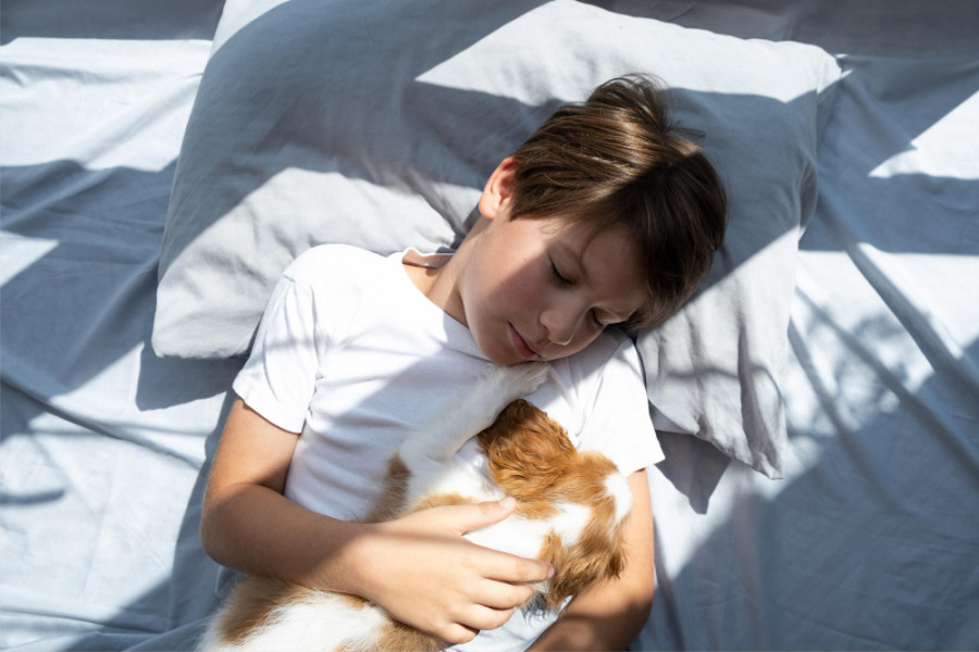 Niño perro cama