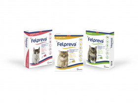 Vetoquinol presenta Felpreva®, su antiparasitario diseñado específicamente para gatos