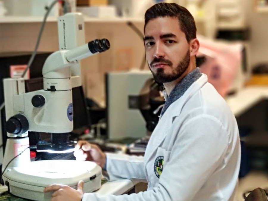 Daniel bravo