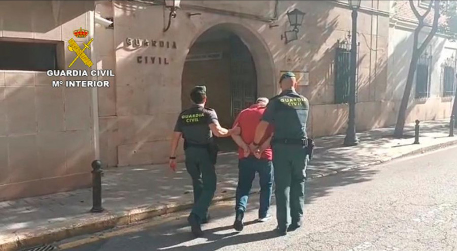 Veterinario gallos pelea