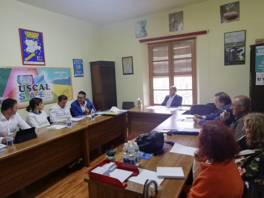 Comité Ejecutivo Confederal FESVET