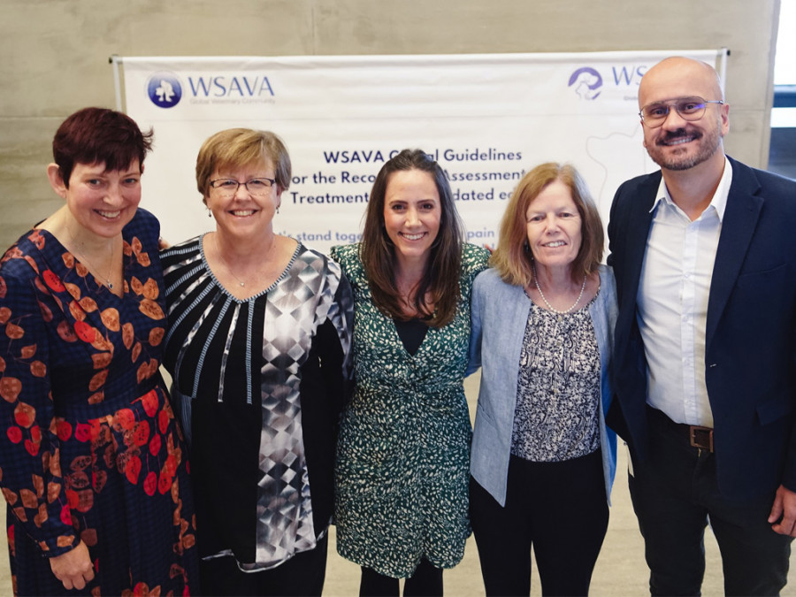 Comité Dolor WSAVA GPC