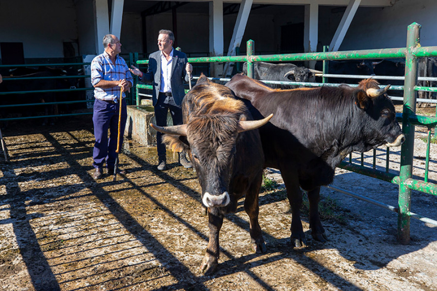 Medio rural cantabria