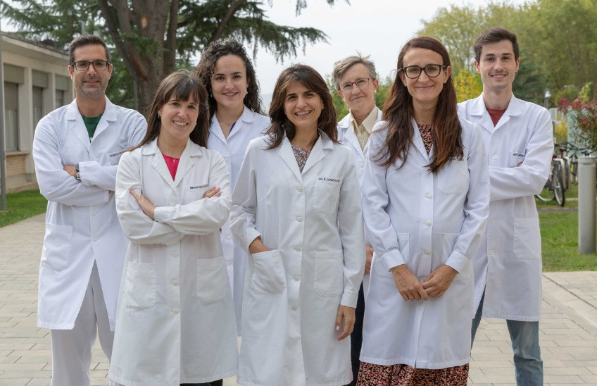 FotoManuel Castells Equipo de investigaciu00f3n de la brucelosis porcina de la Universidad de Navarra