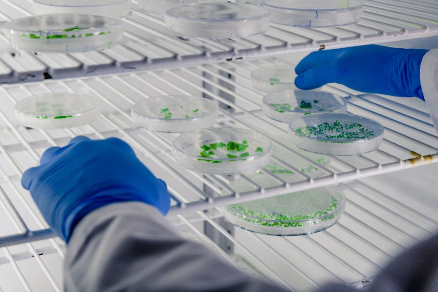 laboratorio