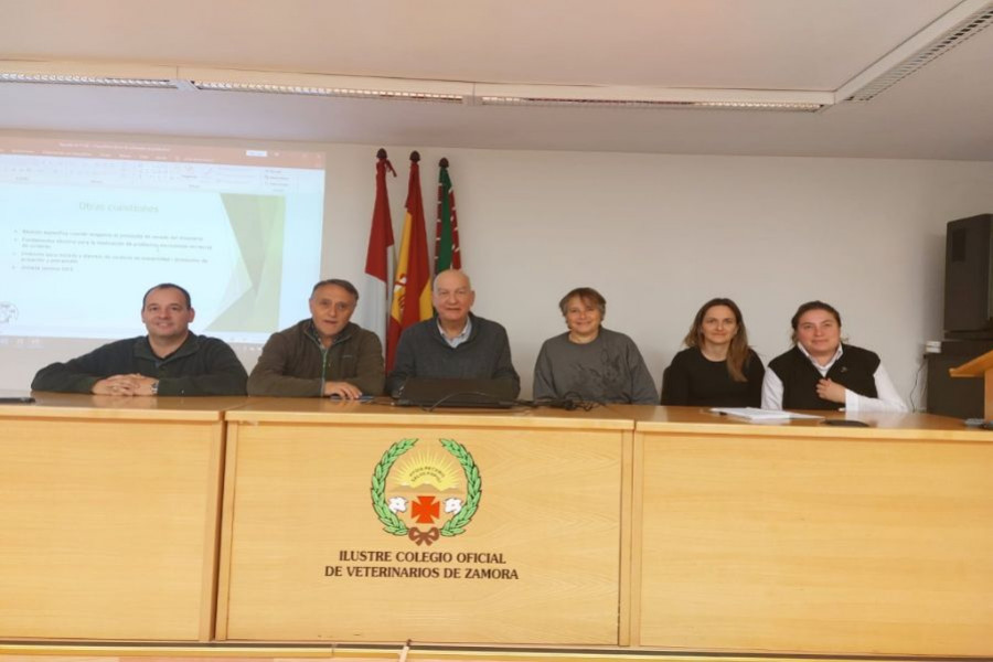 Avoccyl junta directiva