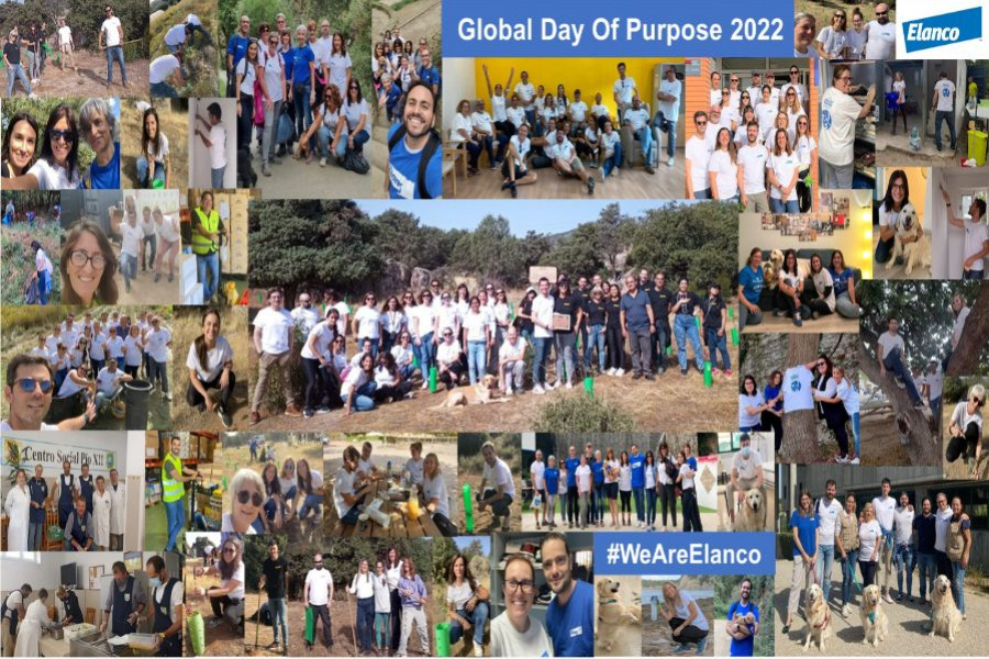 elanco voluntariado