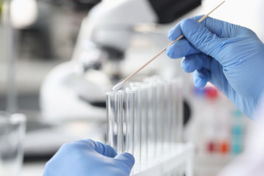 laboratorio