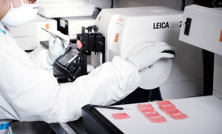 Laboratorio